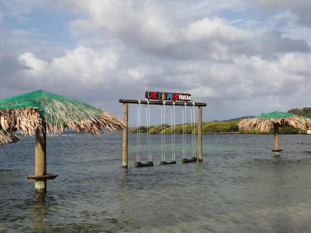 Las Palmas Beach Hotel Dixon Cove Luaran gambar
