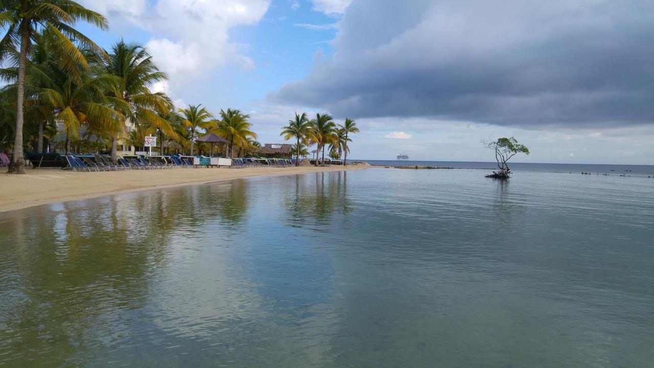 Las Palmas Beach Hotel Dixon Cove Luaran gambar