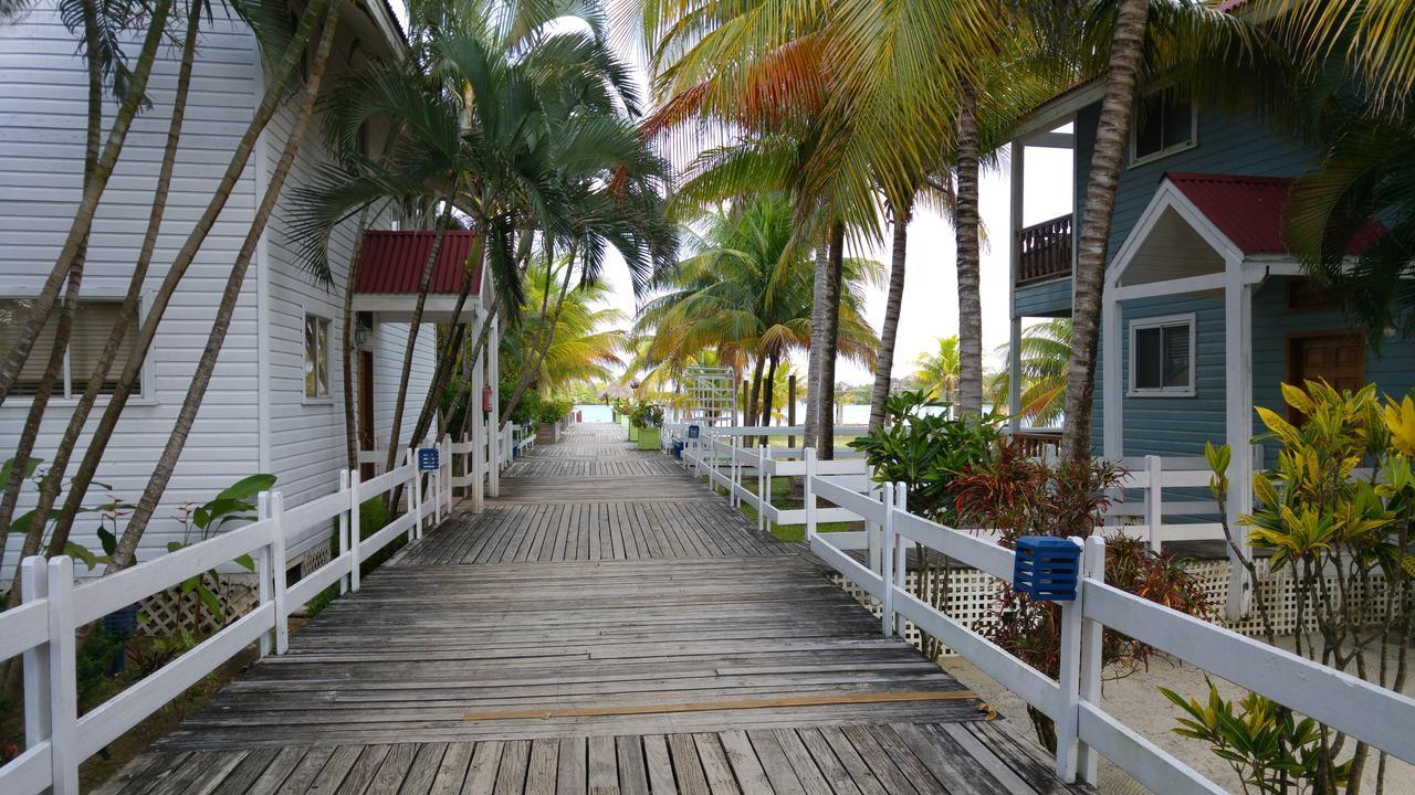 Las Palmas Beach Hotel Dixon Cove Luaran gambar