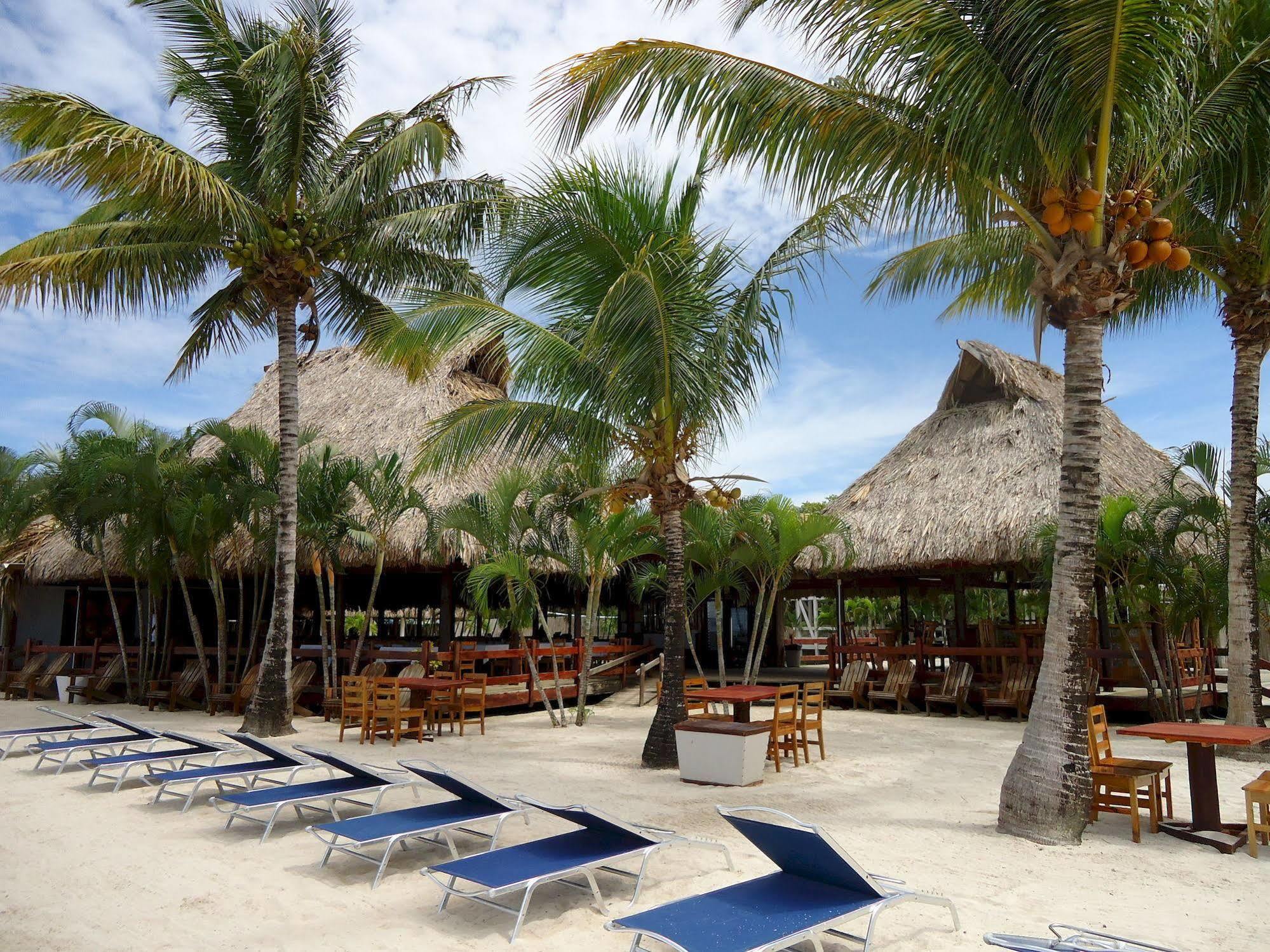 Las Palmas Beach Hotel Dixon Cove Luaran gambar