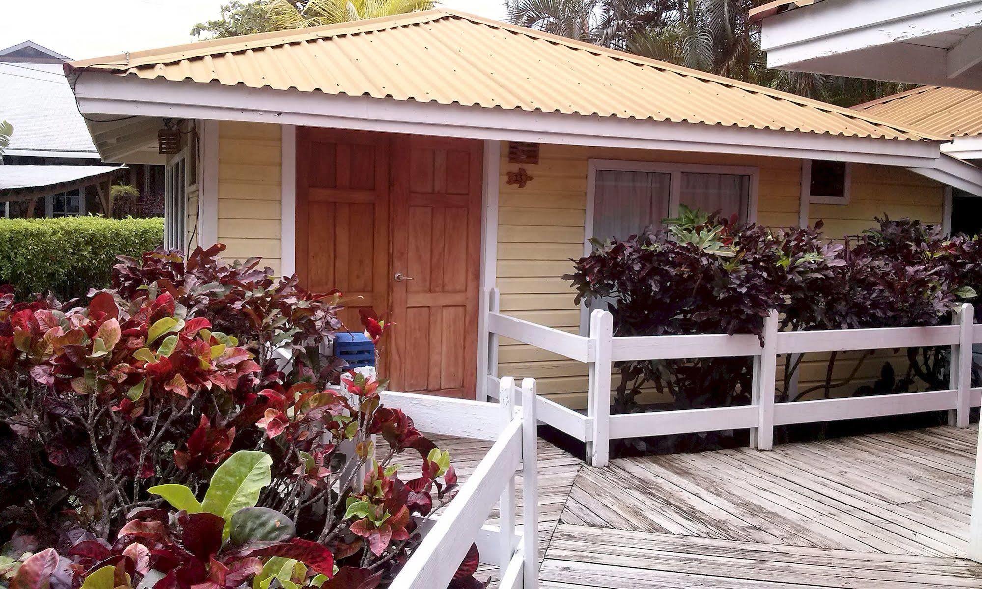 Las Palmas Beach Hotel Dixon Cove Luaran gambar
