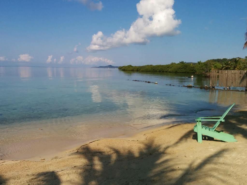 Las Palmas Beach Hotel Dixon Cove Luaran gambar